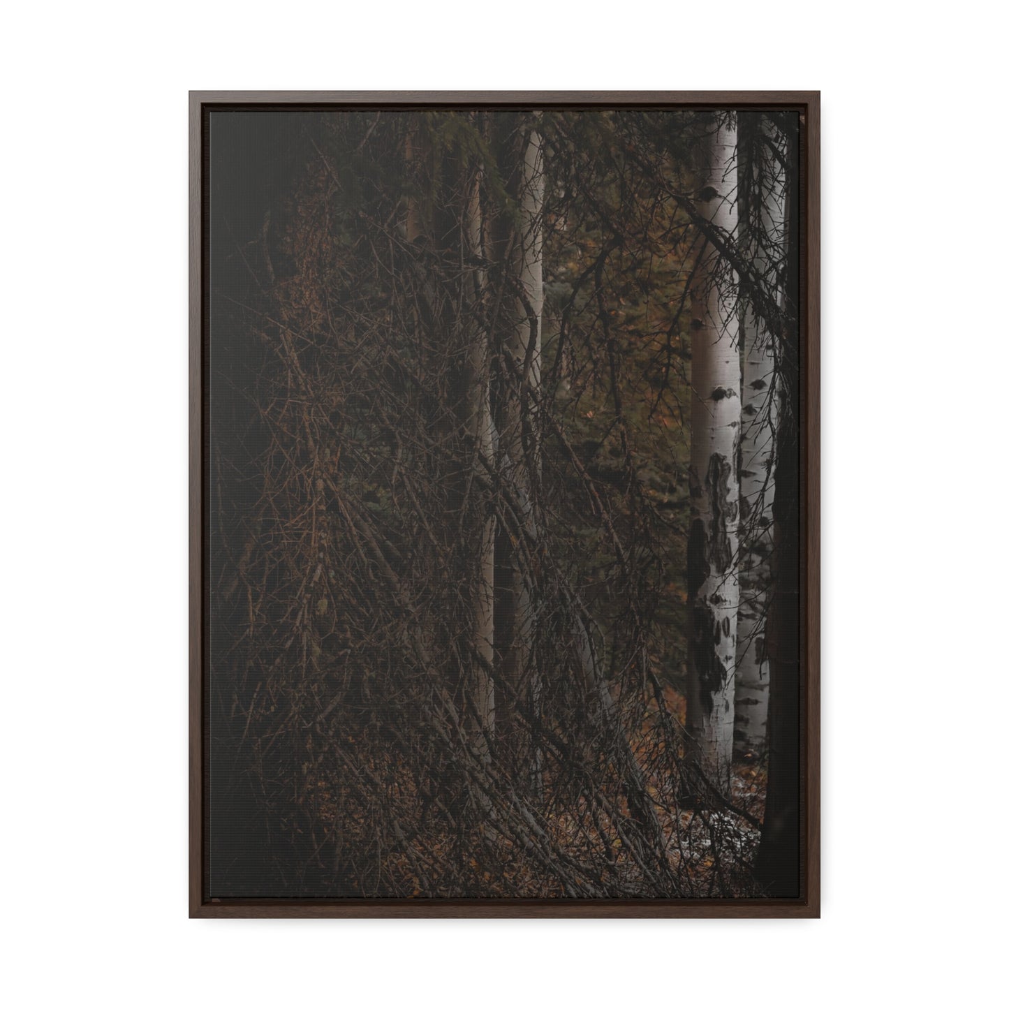 The Dark Forest Gallery Canvas Wraps, Vertical Frame