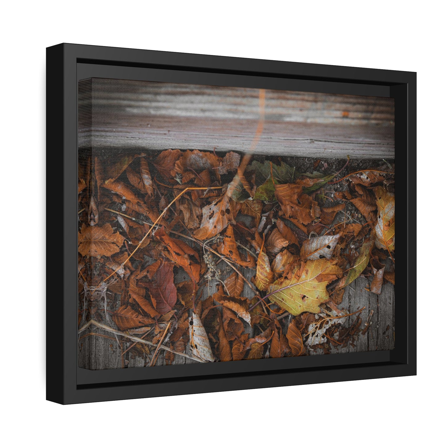 "Leaves on a Bridge" Framed Canvas