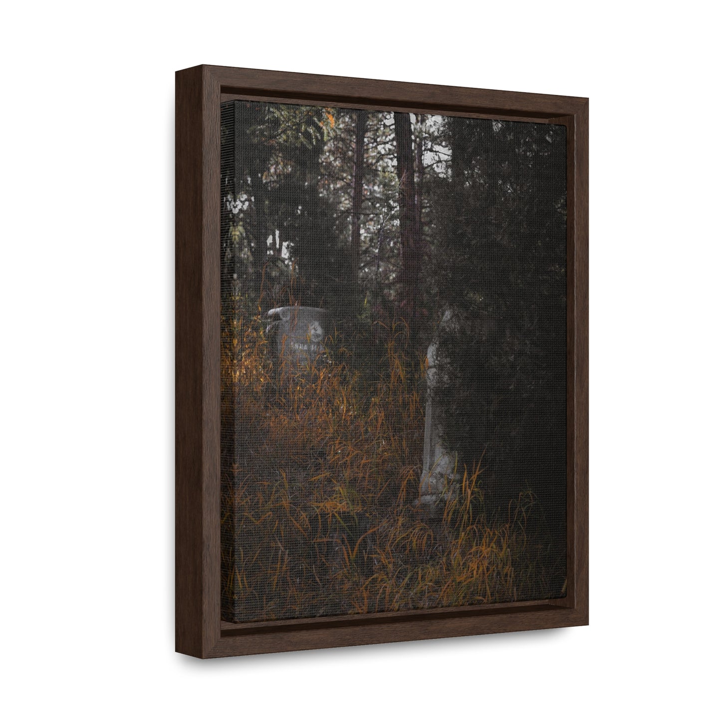 "Hidden Stories" Gallery Canvas Wraps, Vertical Frame