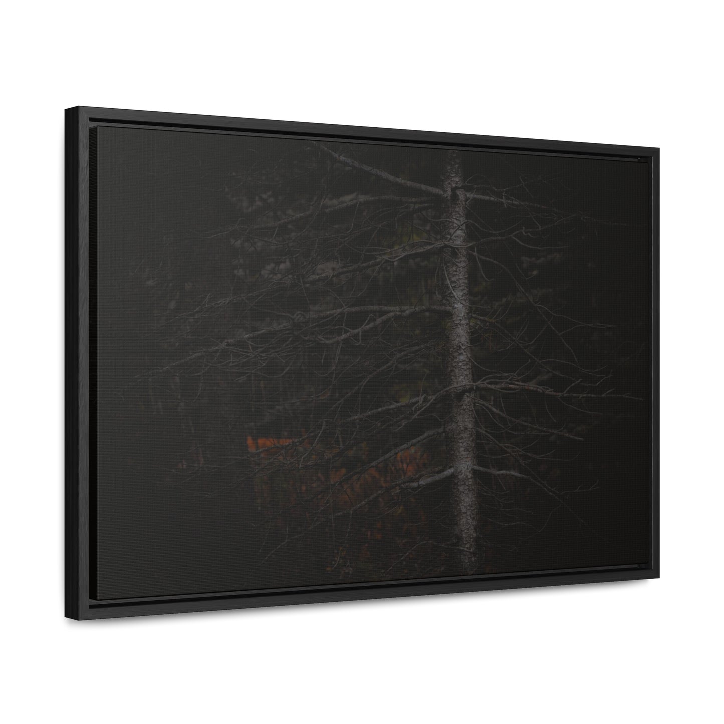 Beauty in Darkness Framed Gallery Canvas