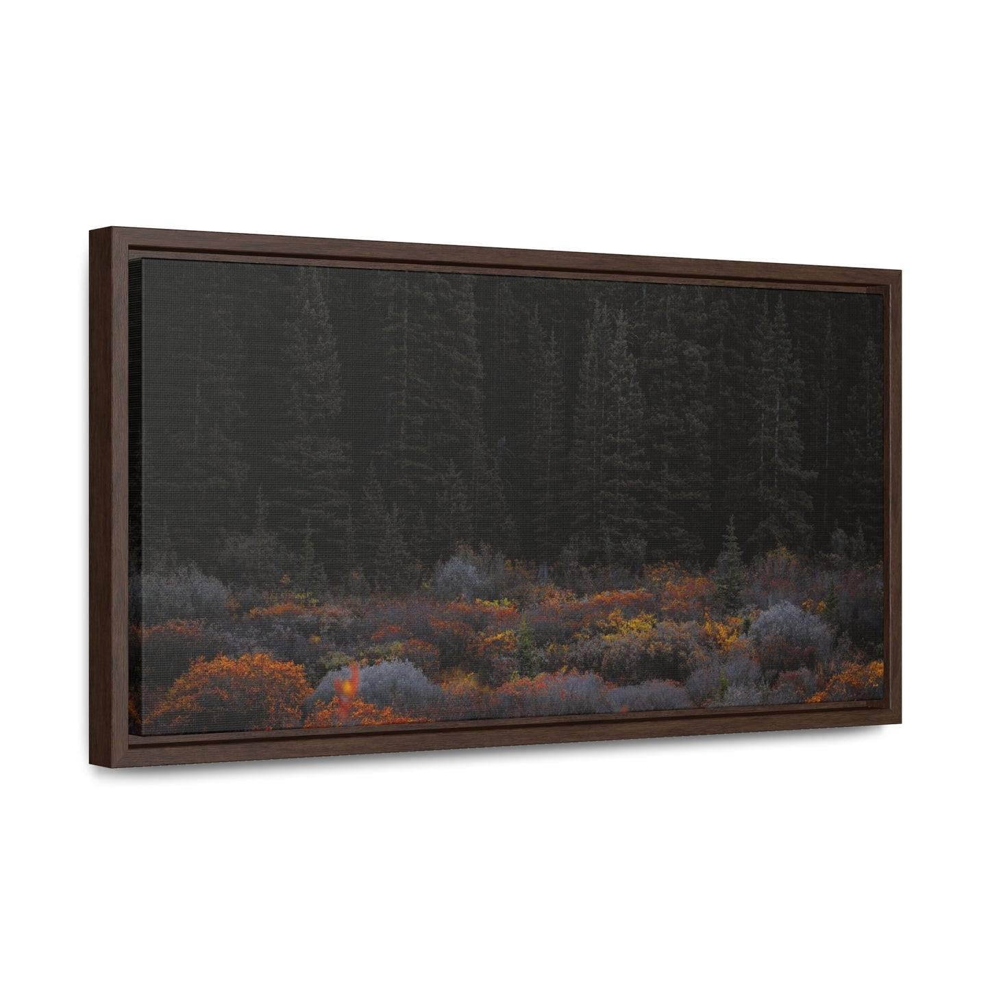 Moody Forest Framed Gallery Canvas