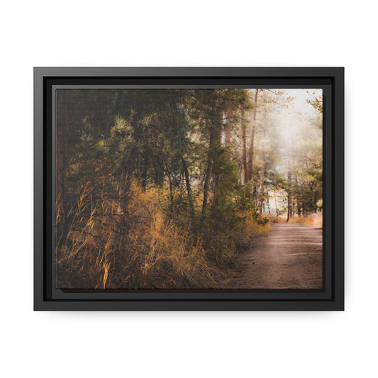 "Cemetery Light" Framed Canvas