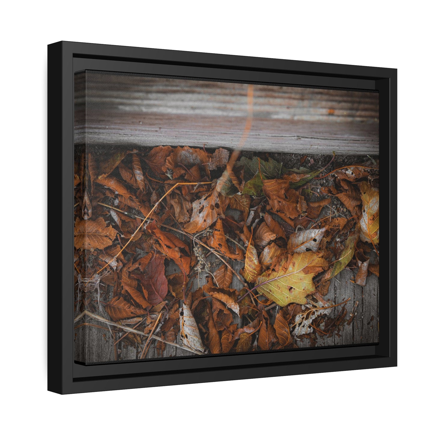 "Leaves on a Bridge" Framed Canvas