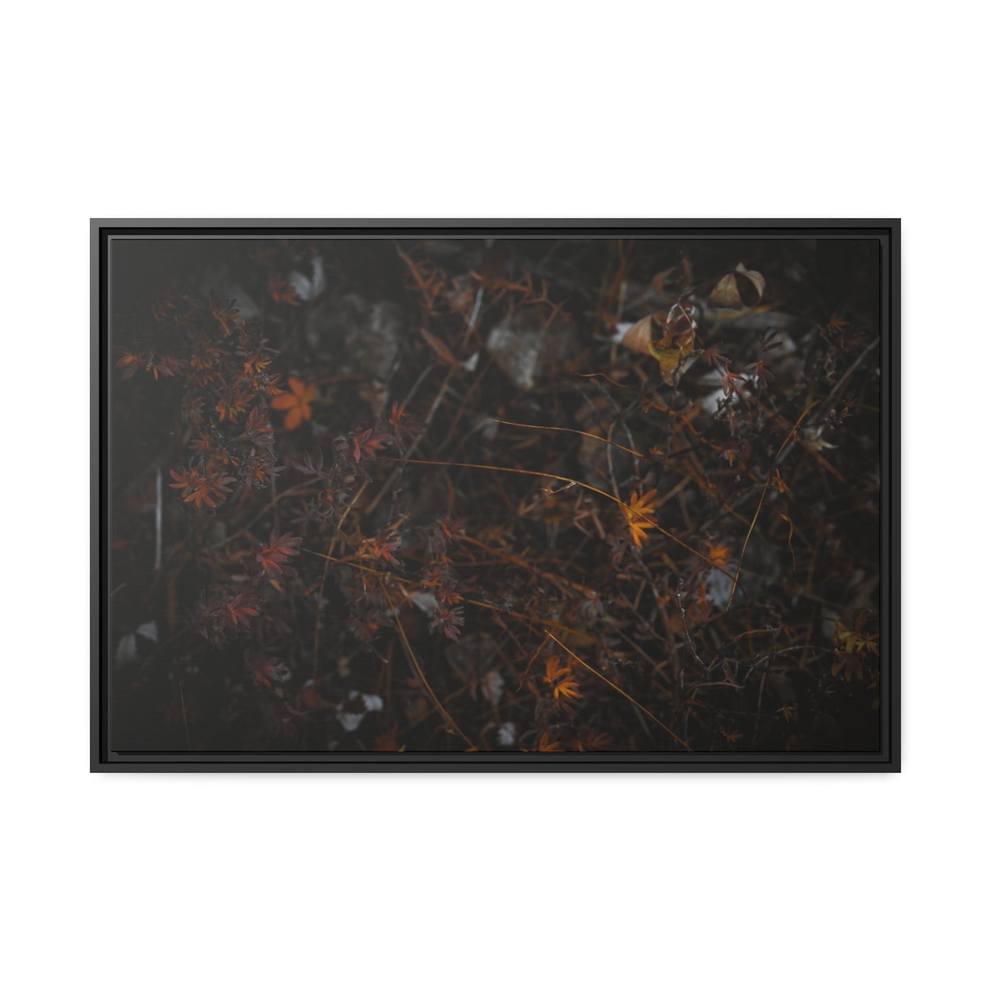 "Autumn's Last Breath" Framed Canvas