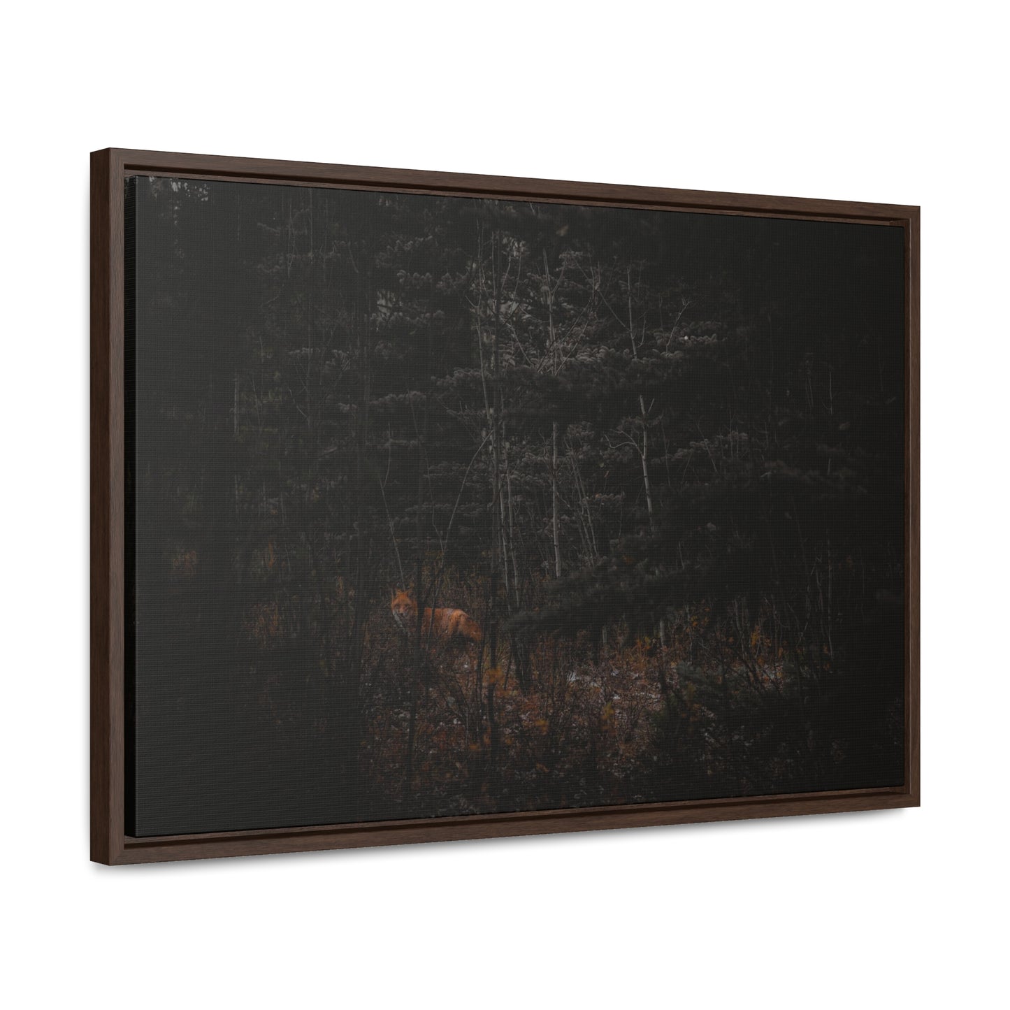 The Fox of the Forest Framed Gallery Canvas