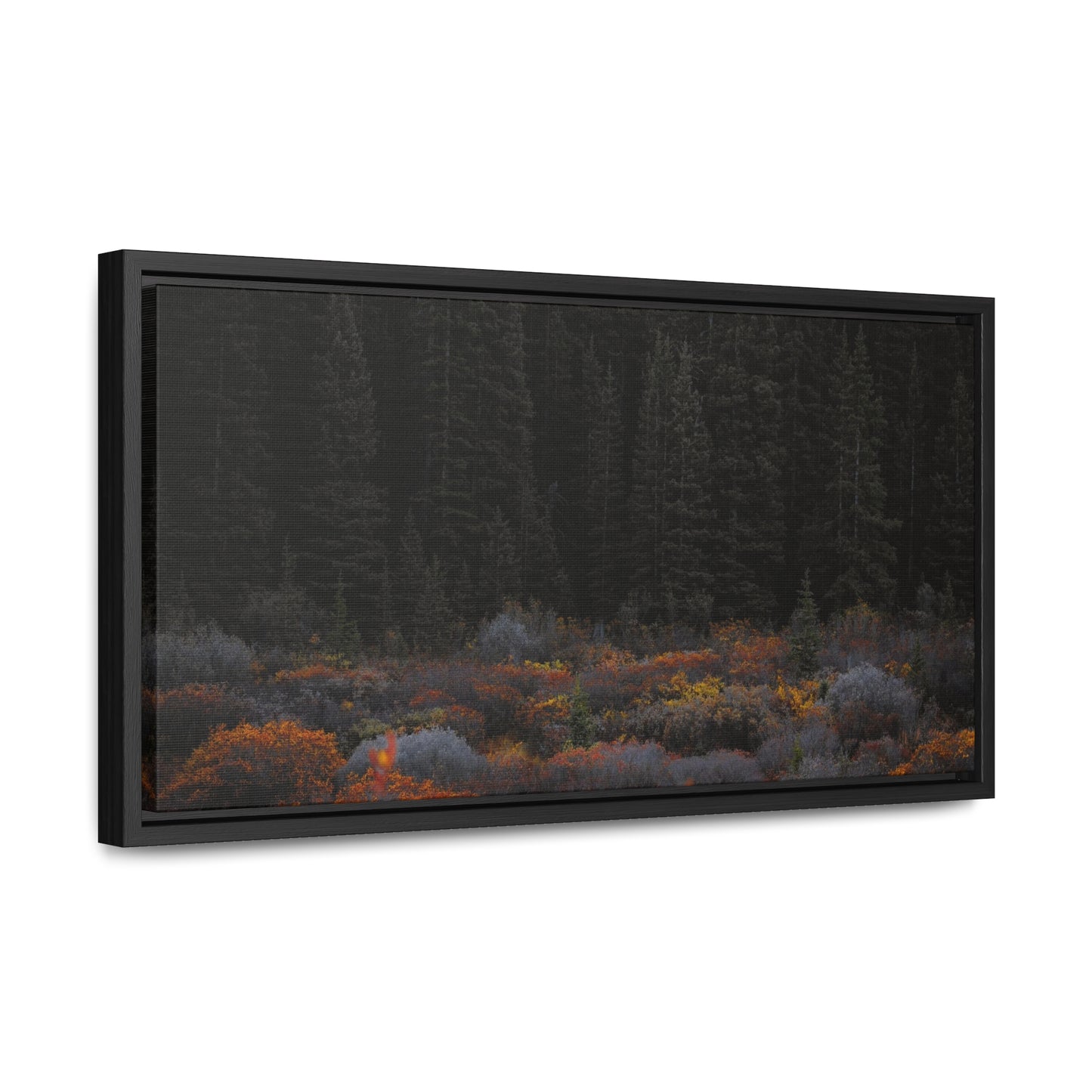 Moody Forest Framed Gallery Canvas