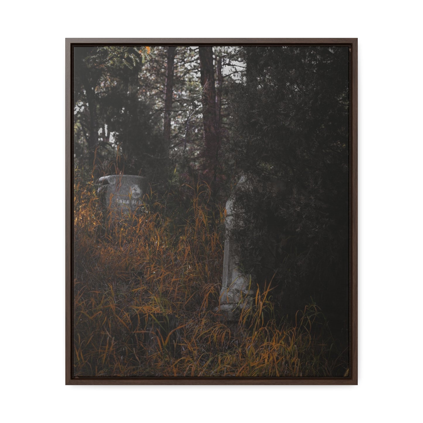 "Hidden Stories" Gallery Canvas Wraps, Vertical Frame