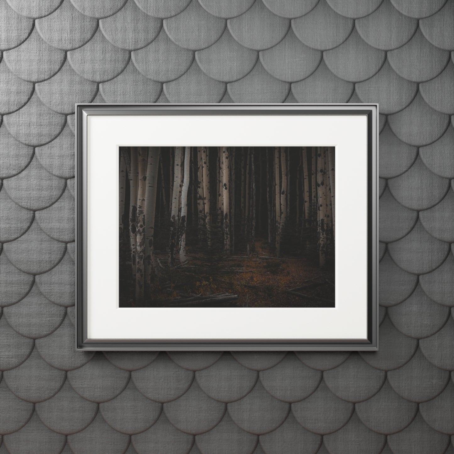 "Moody Aspen Grove" Fine Art Prints (Passepartout Paper Frame)