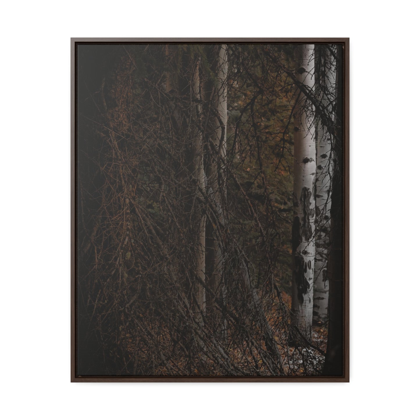 The Dark Forest Gallery Canvas Wraps, Vertical Frame