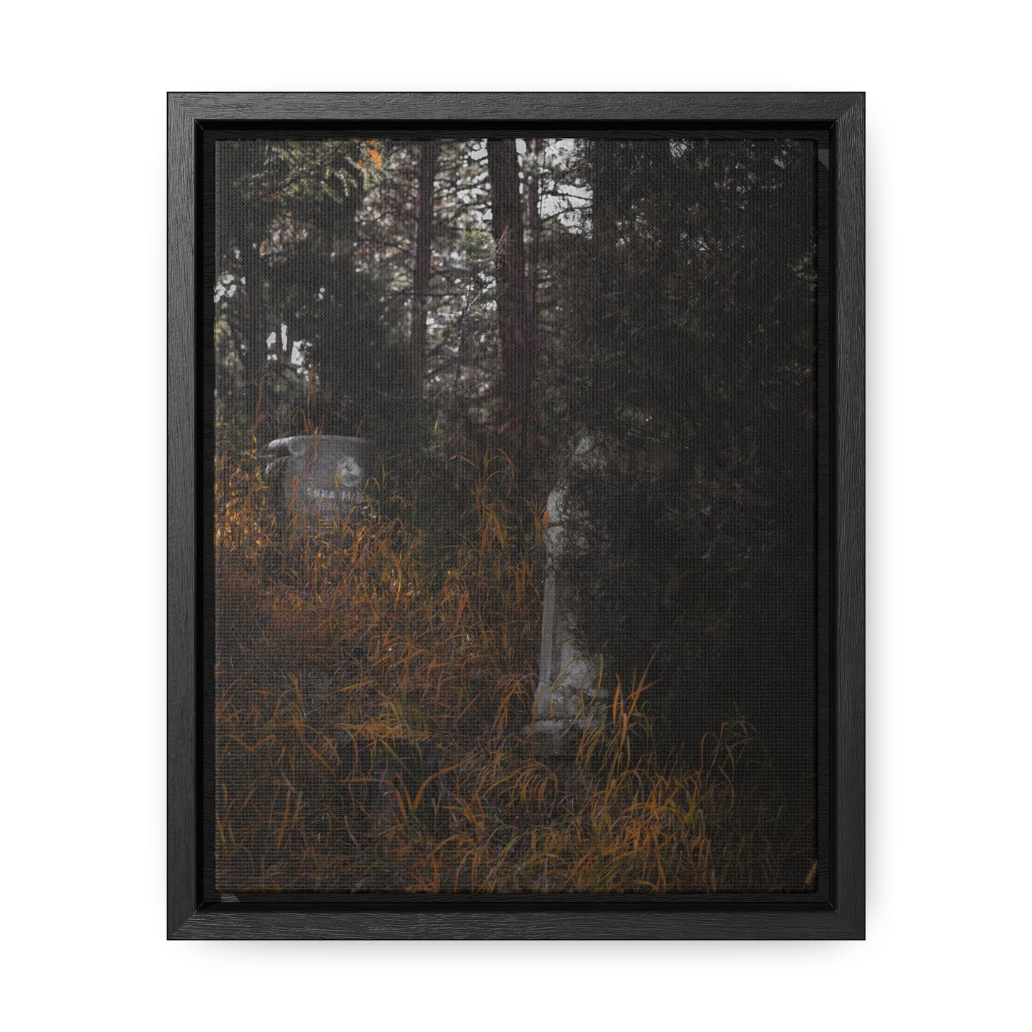 "Hidden Stories" Gallery Canvas Wraps, Vertical Frame