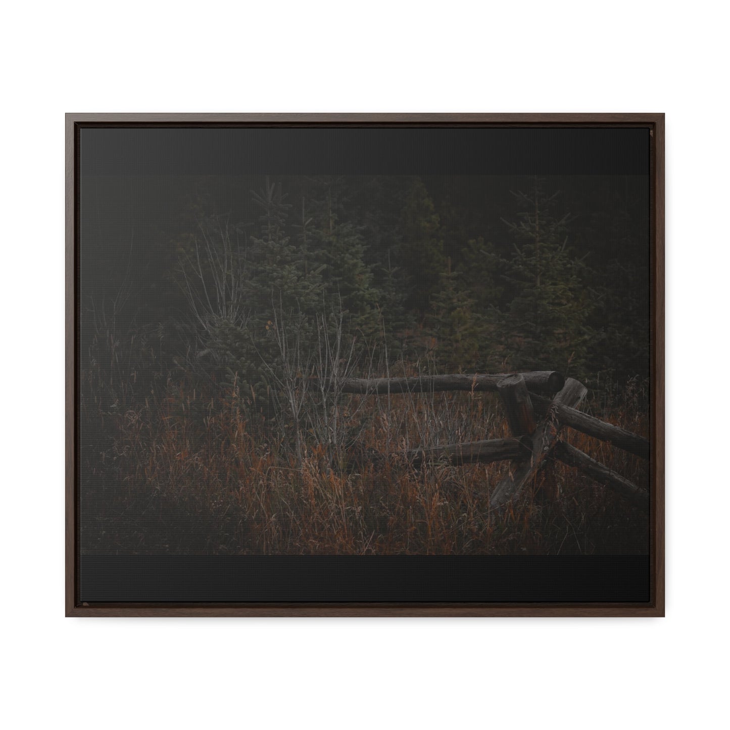 Countryside Forest Framed Gallery Canvas