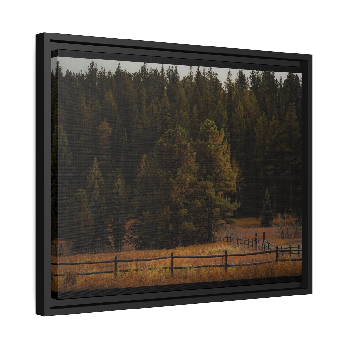 "Forest's Edge" Framed Canvas