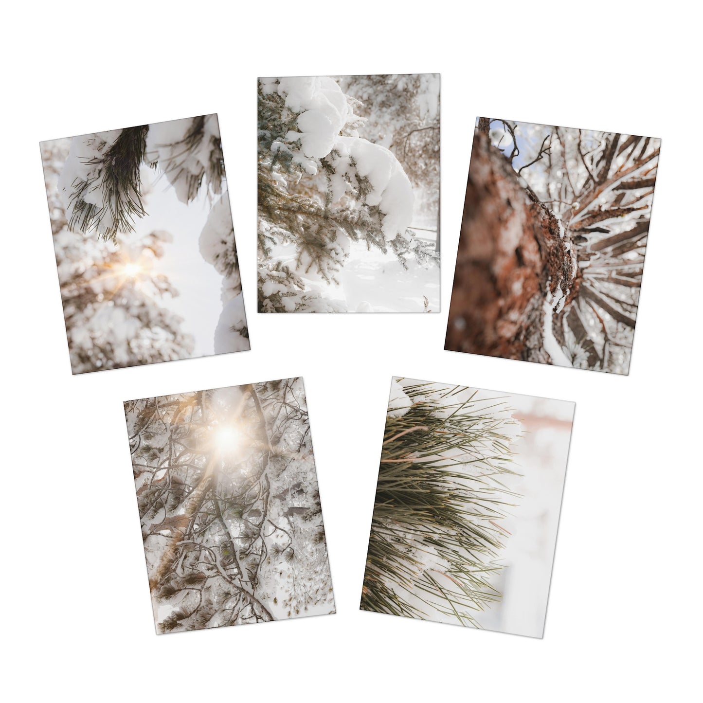 "Winter is Coming" Multi-Design Greeting Cards (5-Pack)