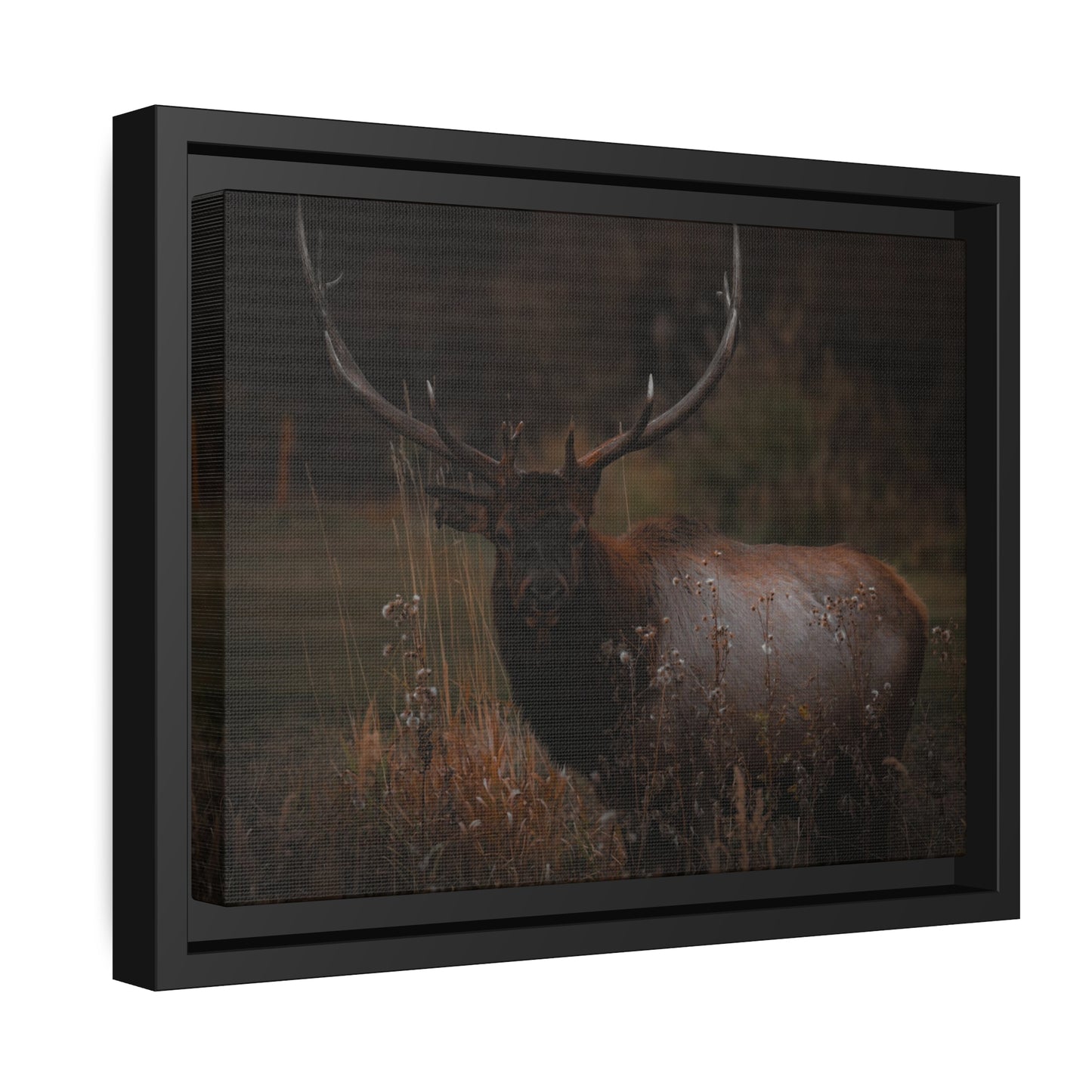 "The Look" Framed Canvas