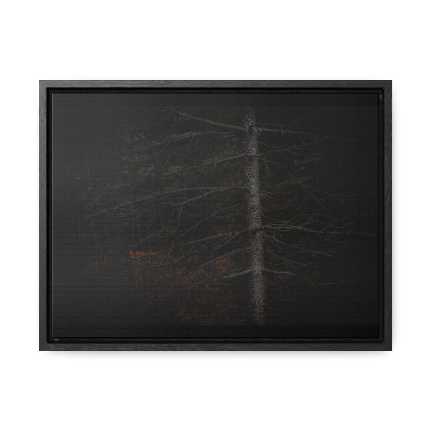 Beauty in Darkness Framed Gallery Canvas