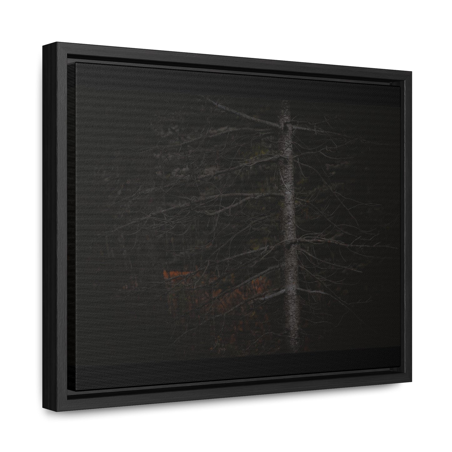 Beauty in Darkness Framed Gallery Canvas