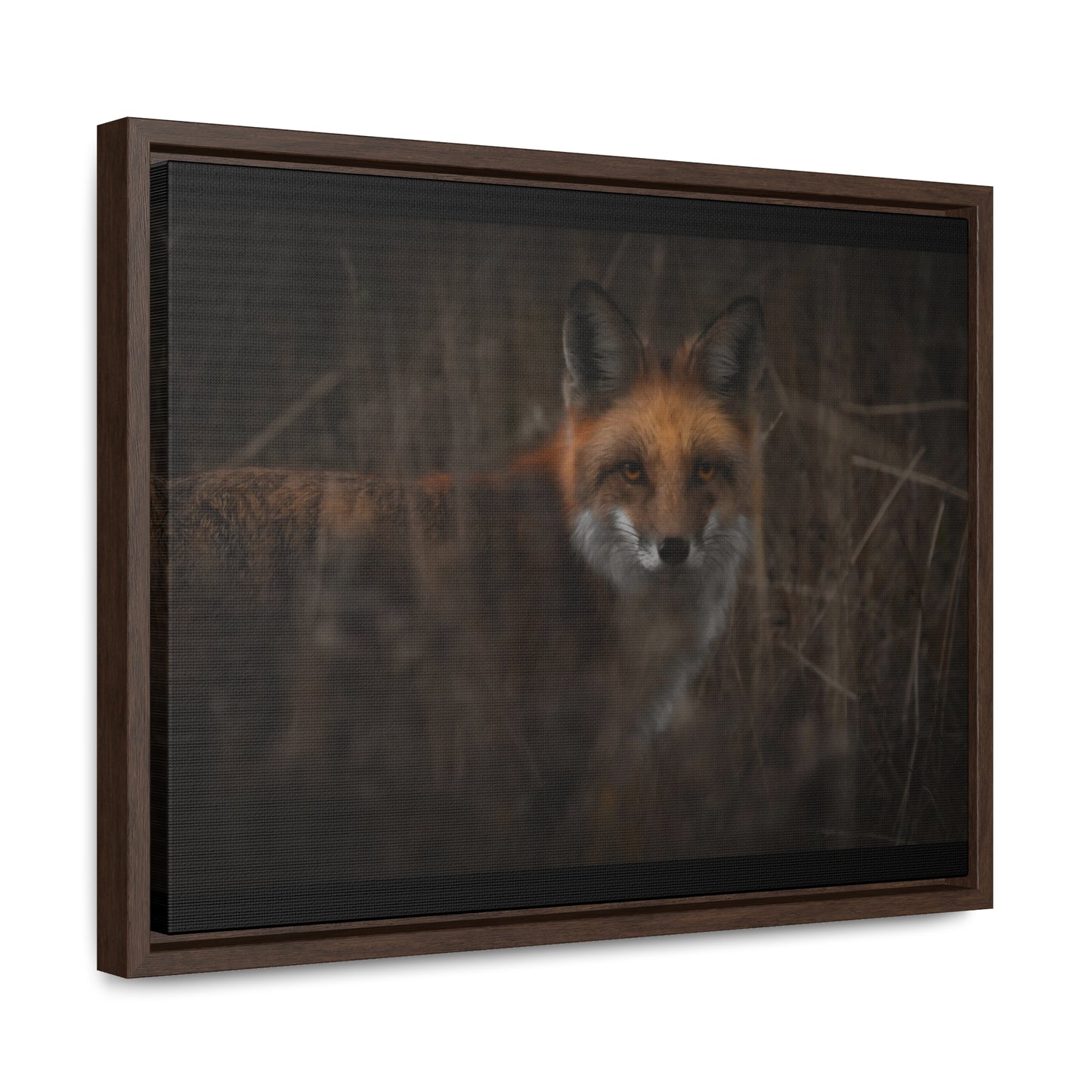 Fox Framed Gallery Canvas