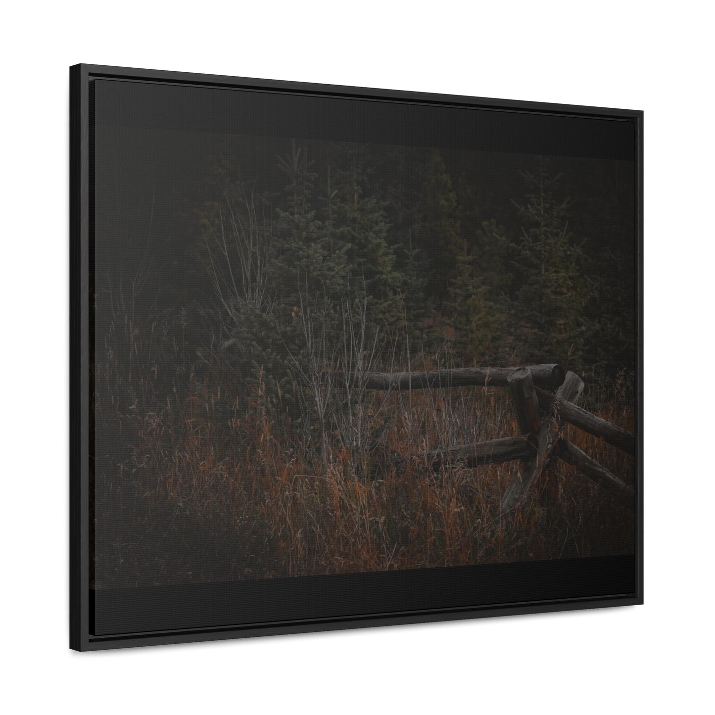 Countryside Forest Framed Gallery Canvas