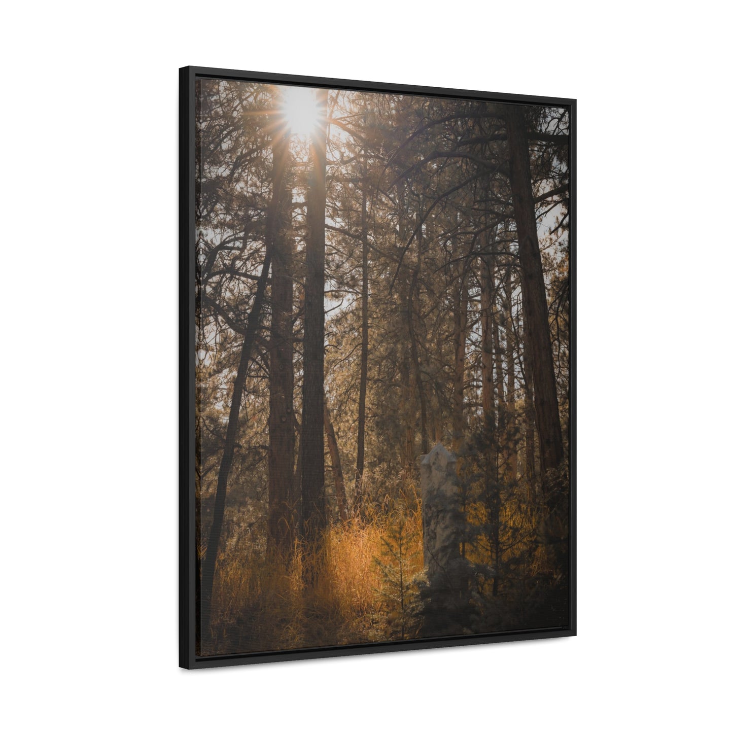 The Sun in the Cemetery Gallery Canvas Wraps, Vertical Frame