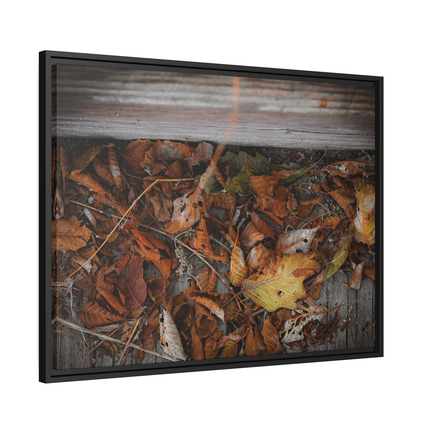 "Leaves on a Bridge" Framed Canvas