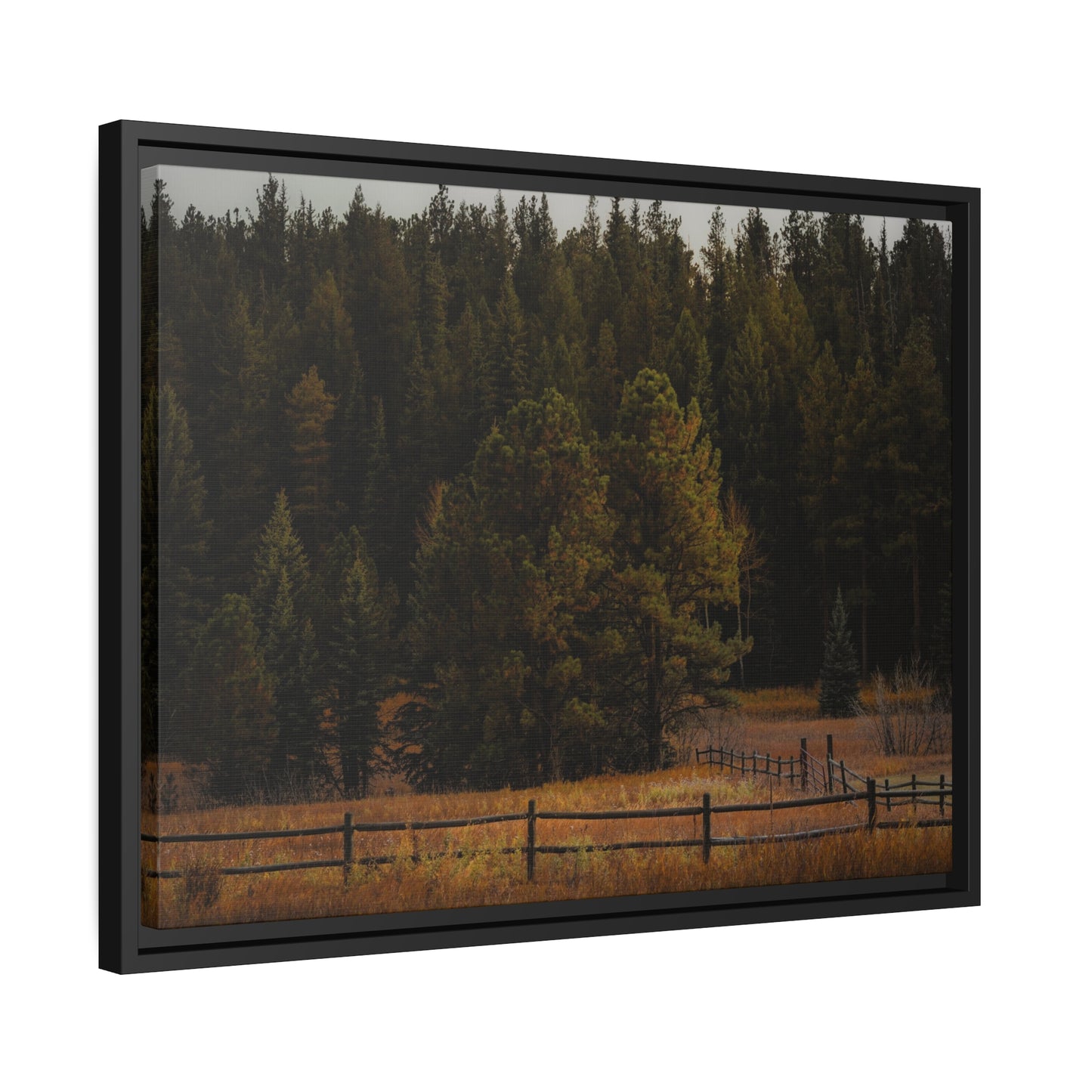 "Forest's Edge" Framed Canvas