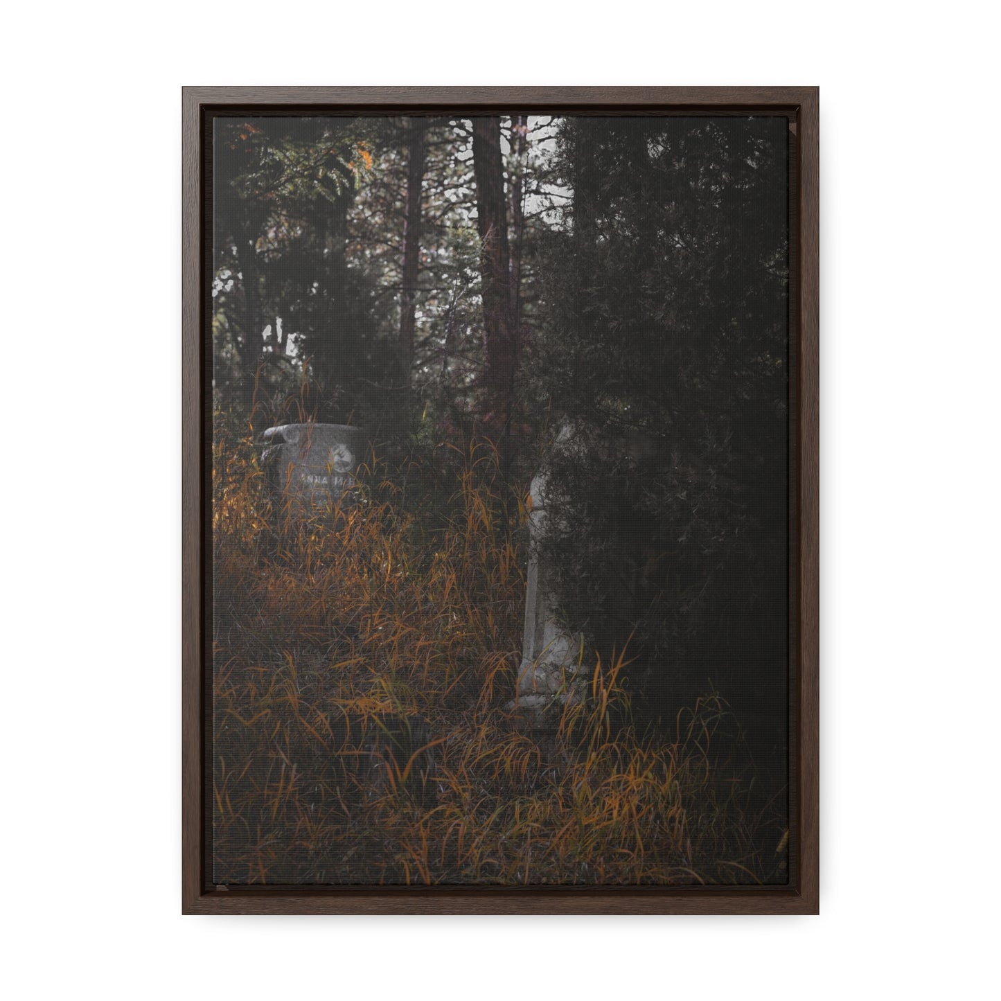 "Hidden Stories" Gallery Canvas Wraps, Vertical Frame