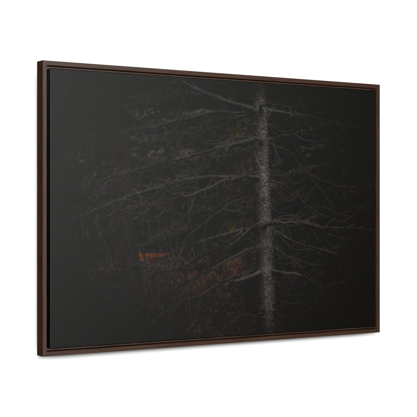 Beauty in Darkness Framed Gallery Canvas