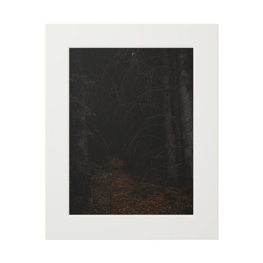 "Into the Woods" Fine Art Prints (Passepartout Paper Frame)