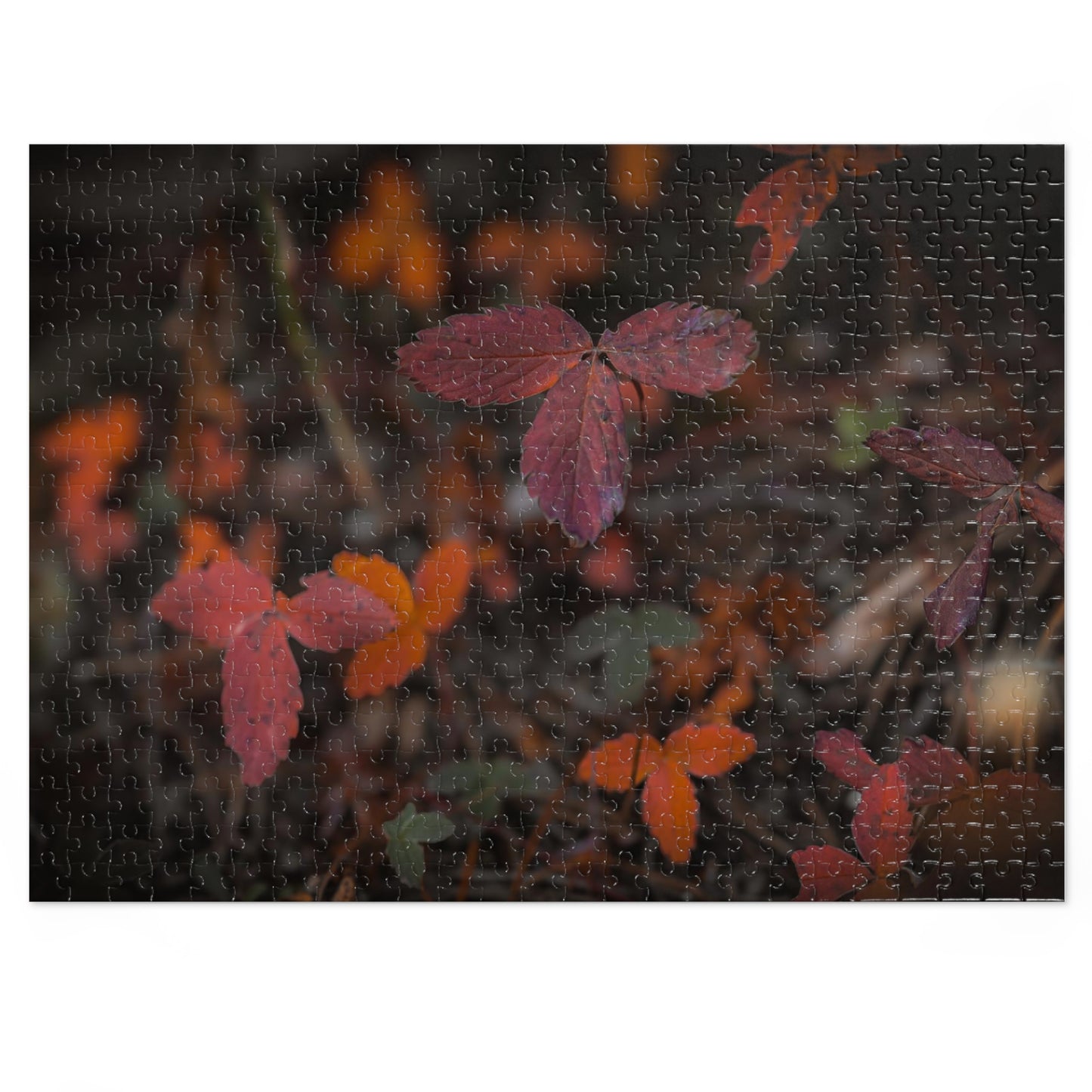 "Autumn Wood" Jigsaw Puzzle (30, 110, 252, 500,1000-Piece)