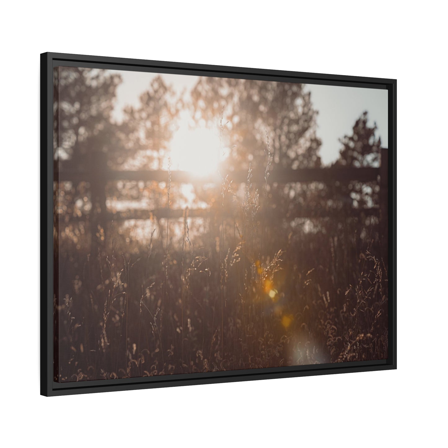 "October Sun" Framed Canvas