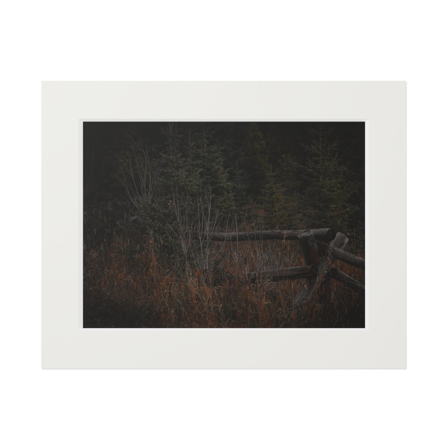 "Countryside Forest" Fine Art Prints (Passepartout Paper Frame)