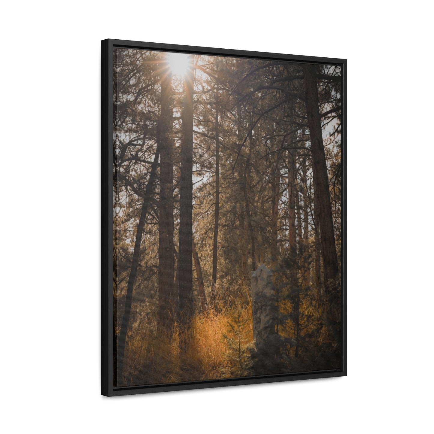 The Sun in the Cemetery Gallery Canvas Wraps, Vertical Frame