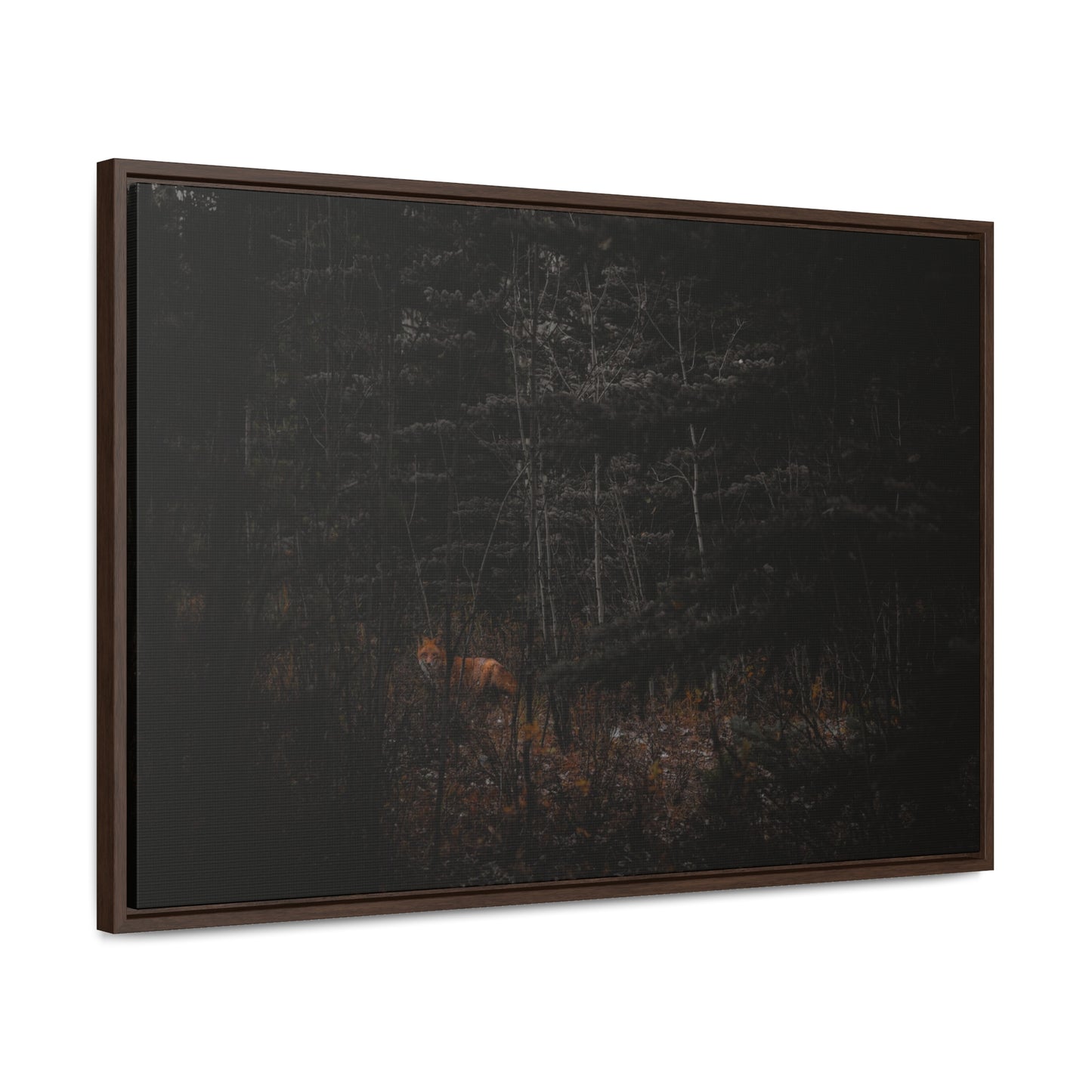 The Fox of the Forest Framed Gallery Canvas