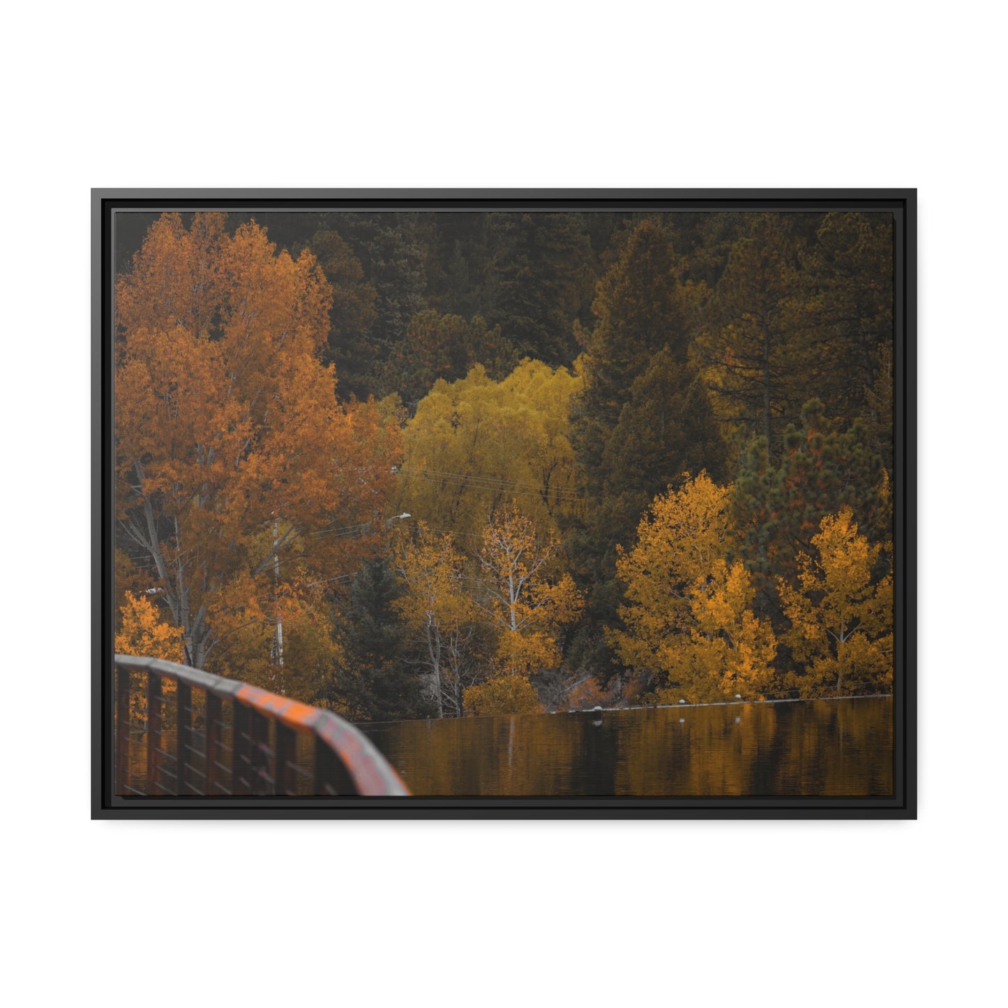 Fall Feelings Framed Canvas