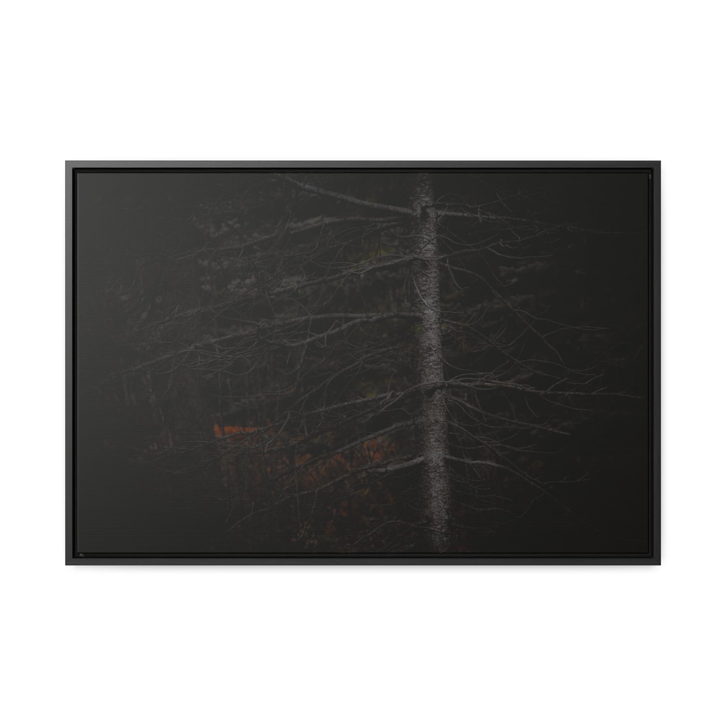 Beauty in Darkness Framed Gallery Canvas