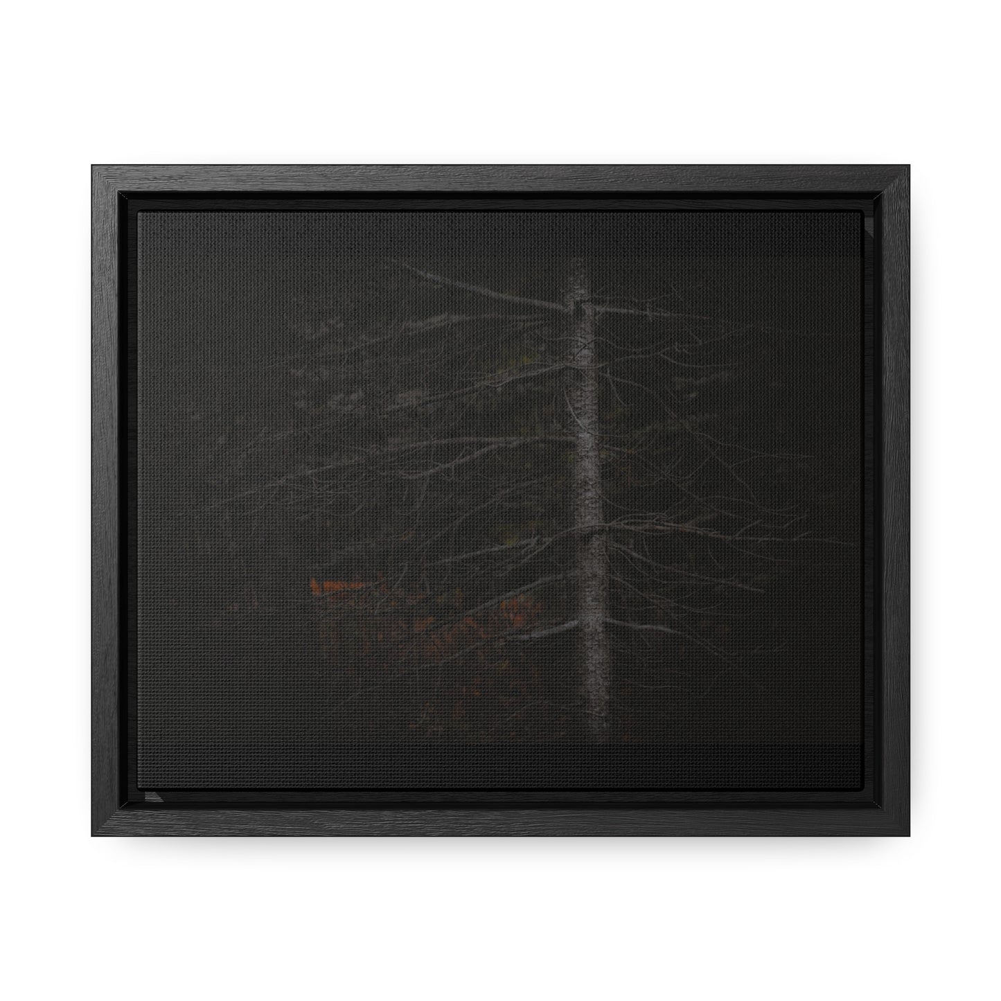 Beauty in Darkness Framed Gallery Canvas