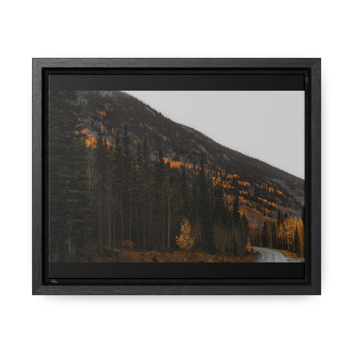 The Lonely Road Framed Gallery Canvas