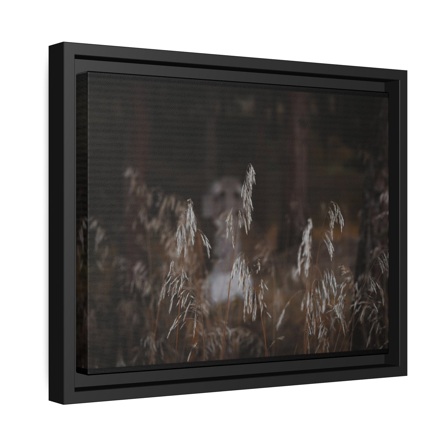 "The Glimpse of the Grave" Framed Canvas