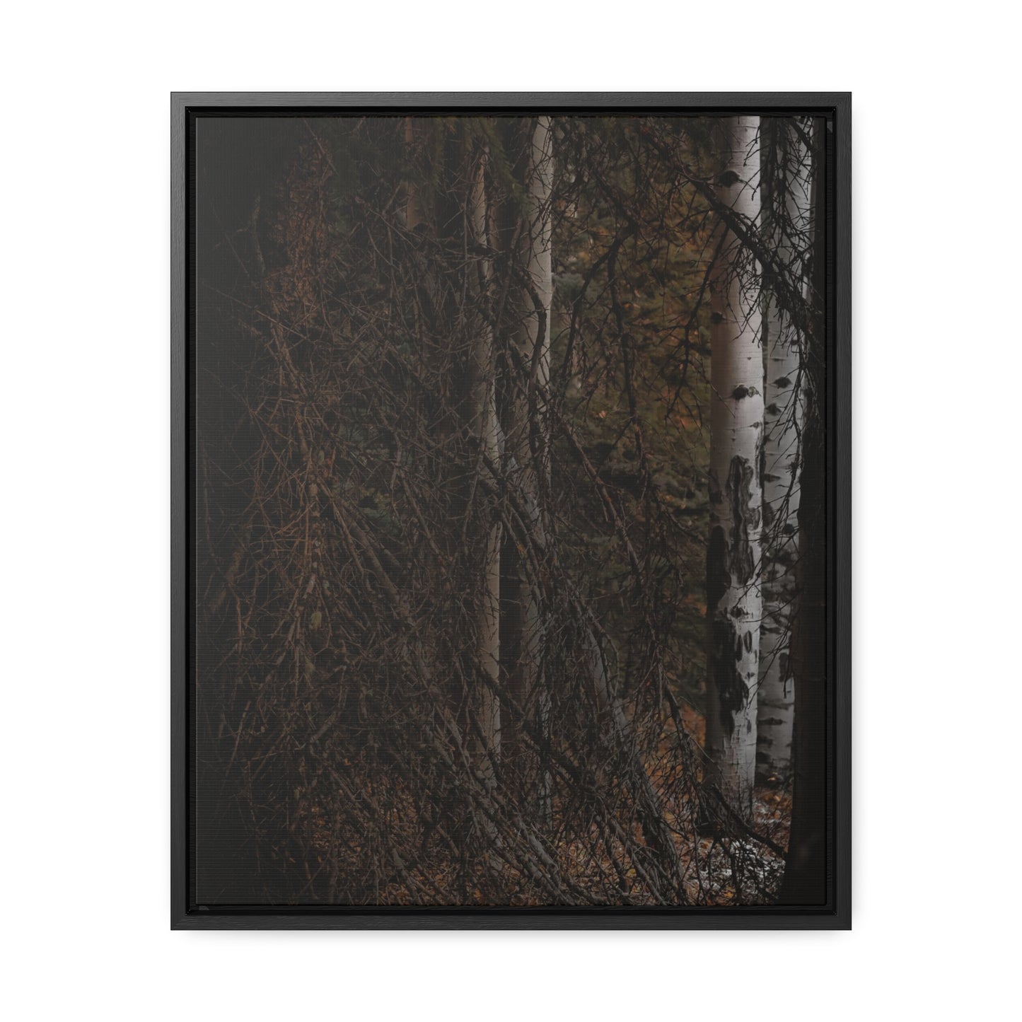 The Dark Forest Gallery Canvas Wraps, Vertical Frame