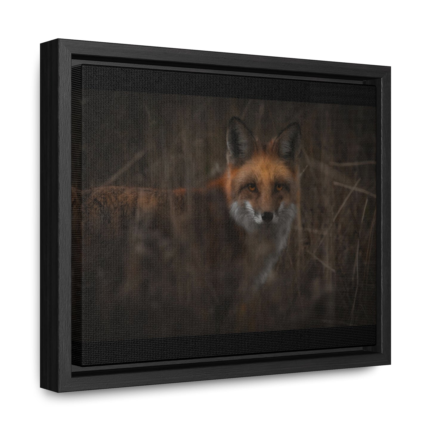 Fox Framed Gallery Canvas