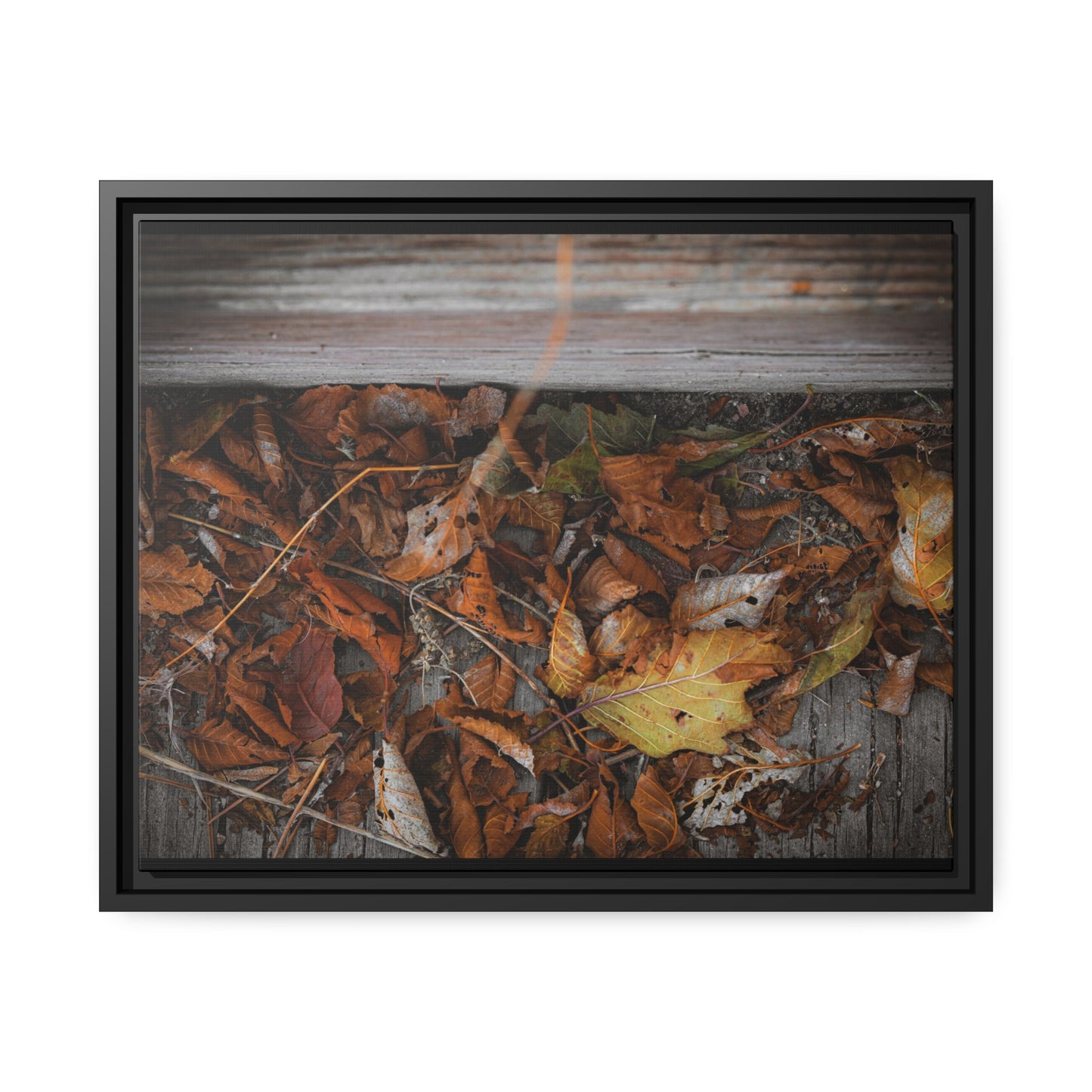 "Leaves on a Bridge" Framed Canvas