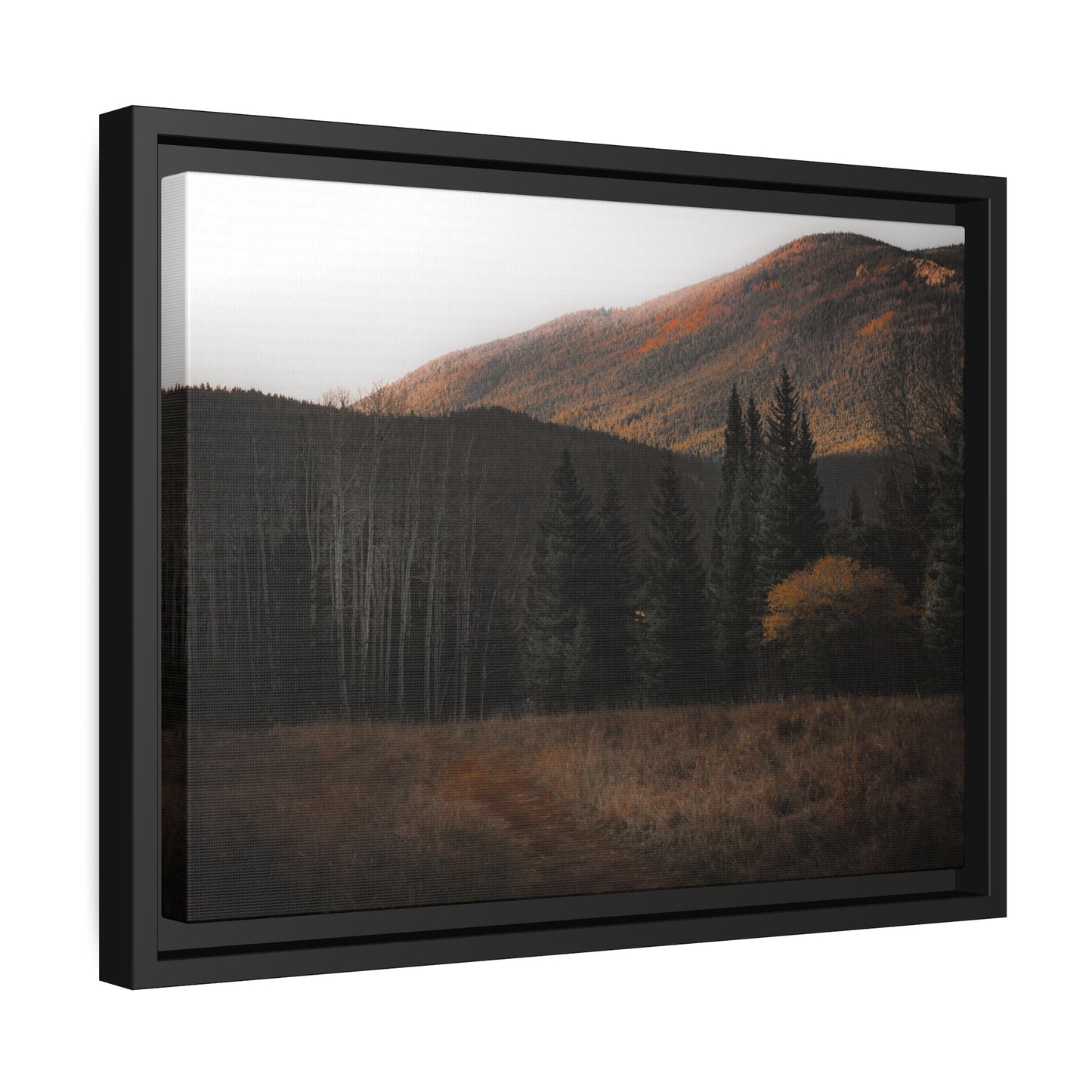 Evening Glow Framed Canvas