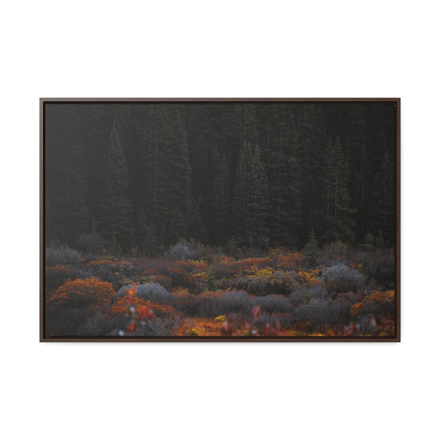 Moody Forest Framed Gallery Canvas