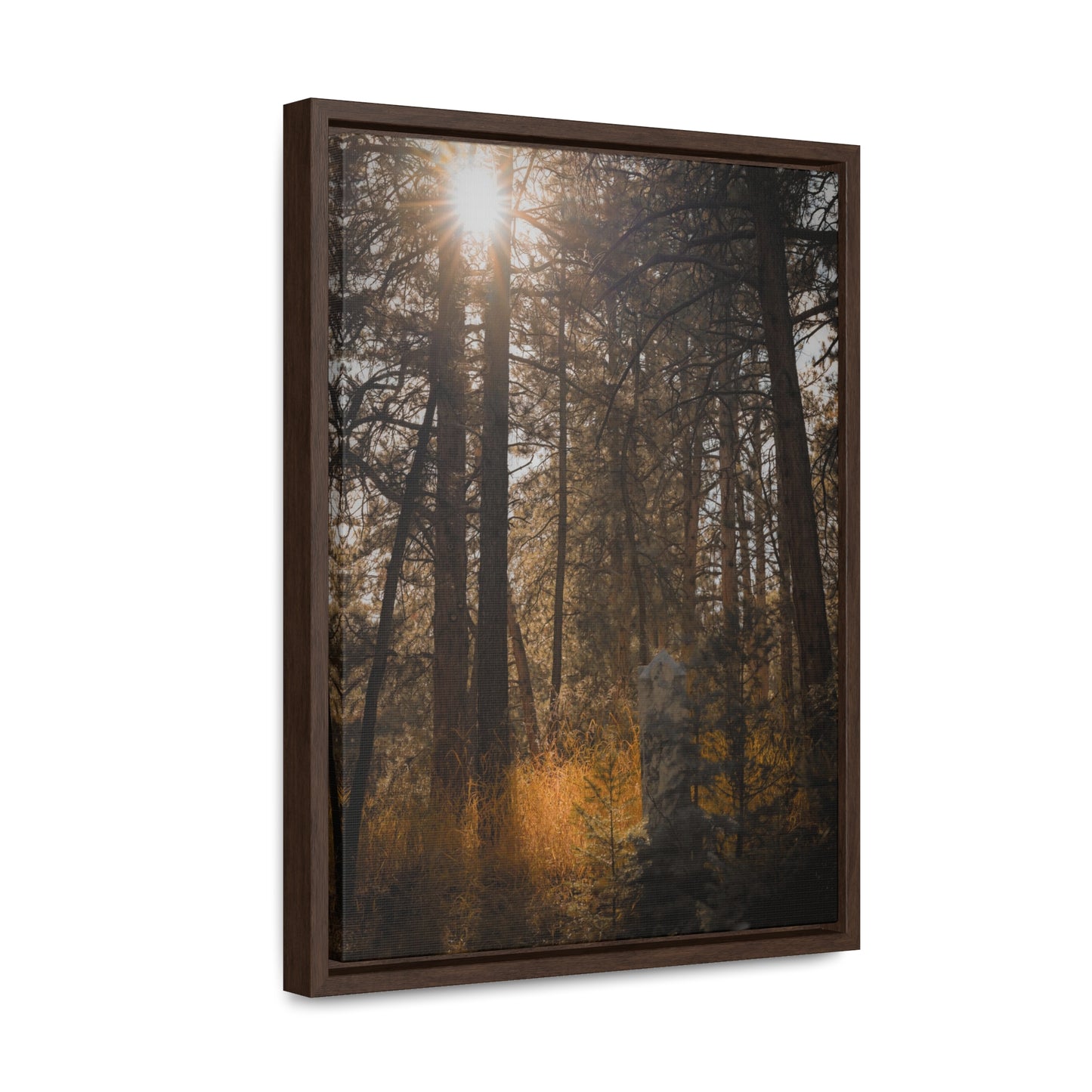 The Sun in the Cemetery Gallery Canvas Wraps, Vertical Frame