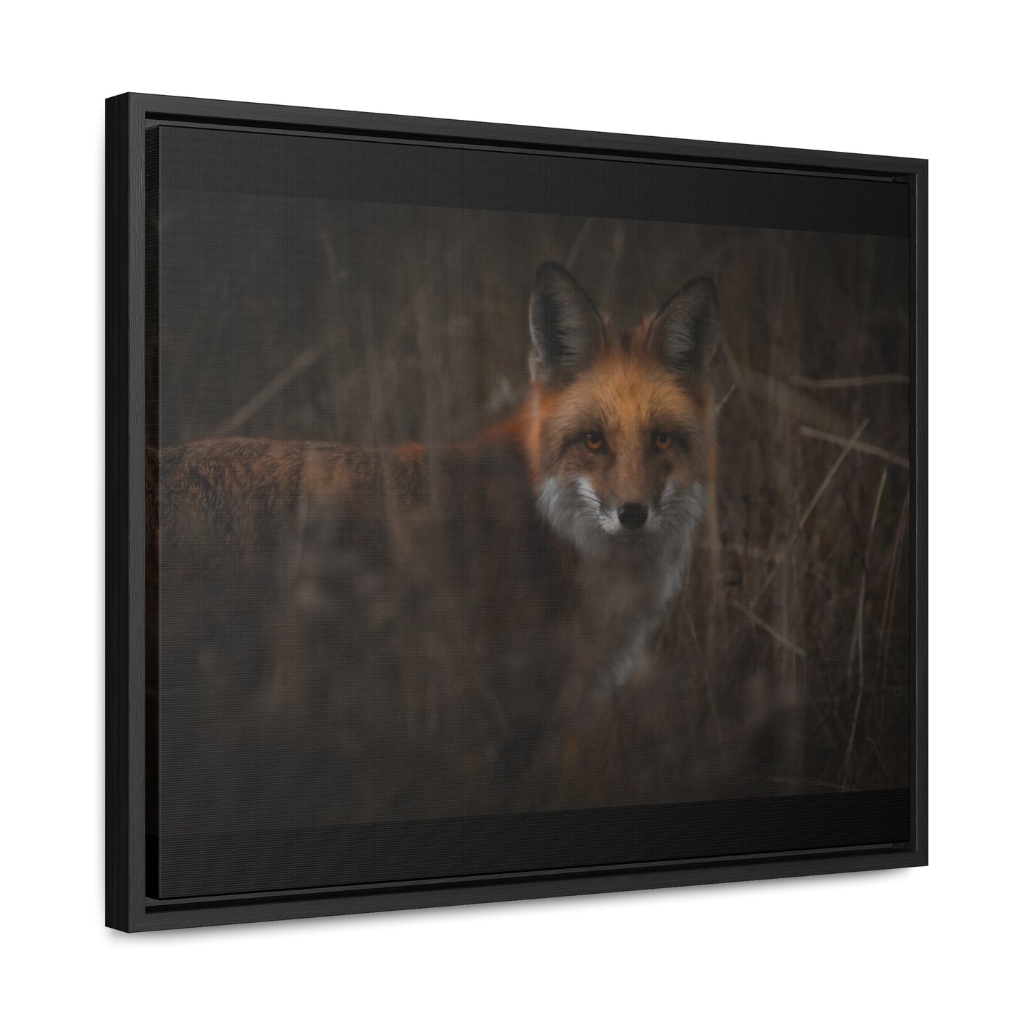 Fox Framed Gallery Canvas