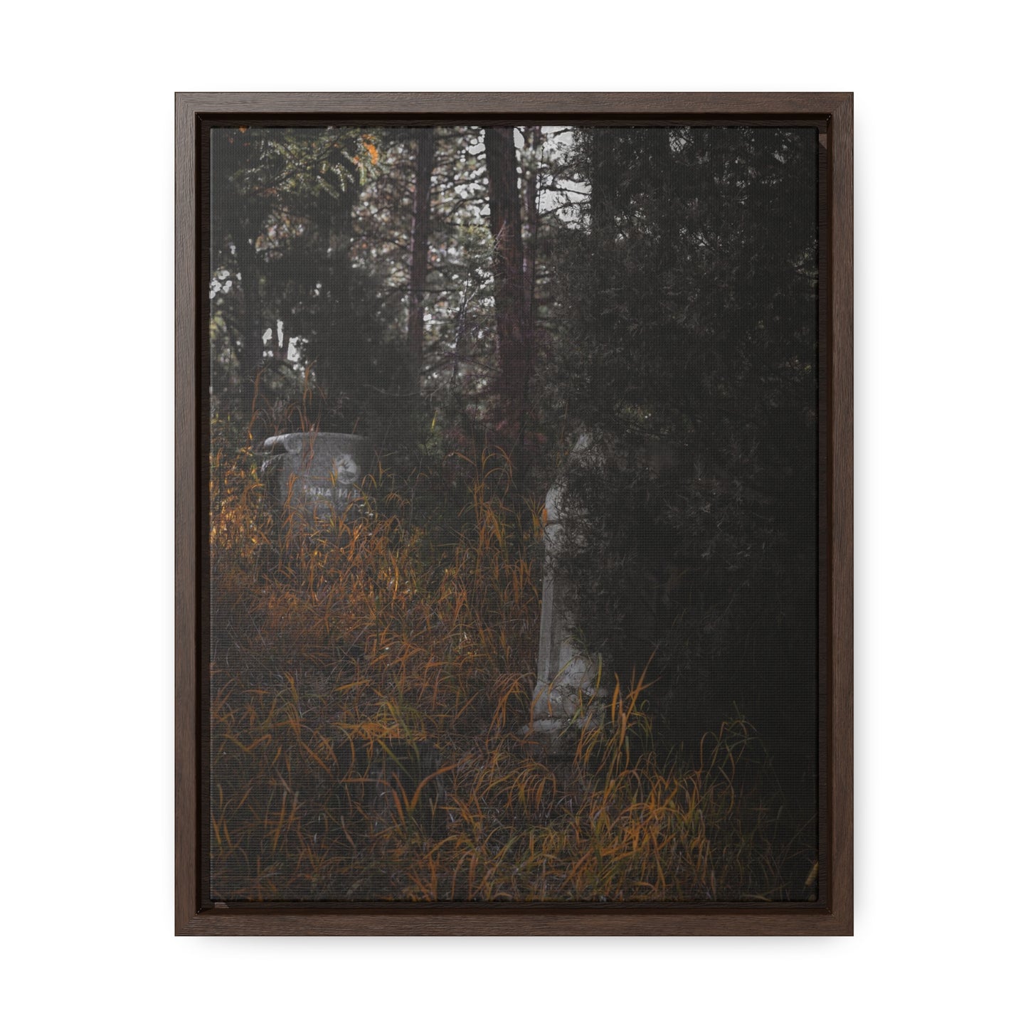 "Hidden Stories" Gallery Canvas Wraps, Vertical Frame