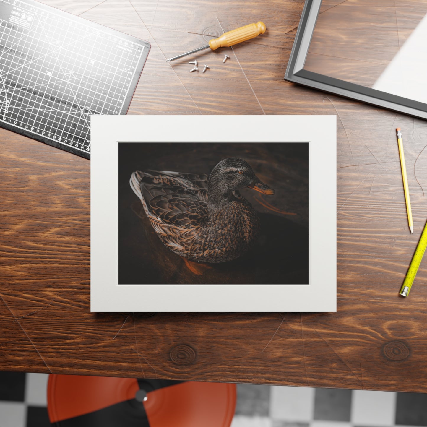 "Duck!" Fine Art Prints (Passepartout Paper Frame)