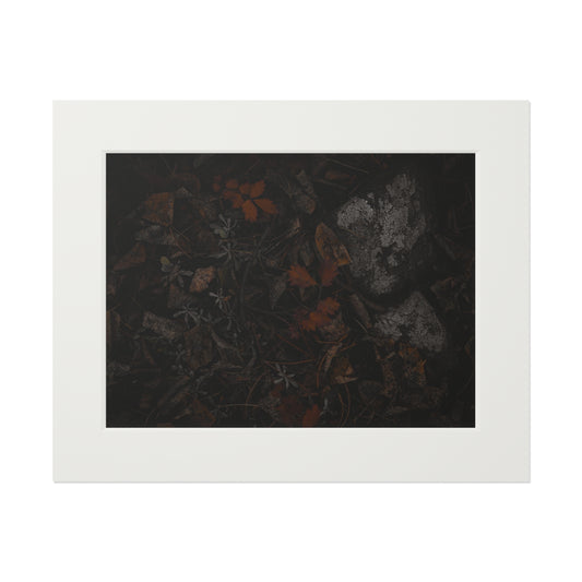 "Autumn's Floor" Fine Art Prints (Passepartout Paper Frame)