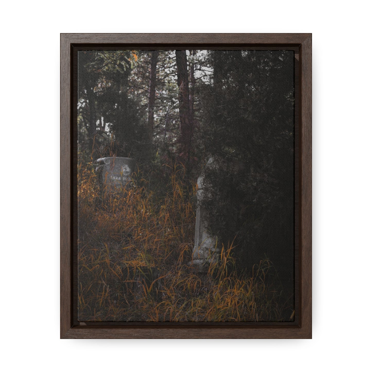 "Hidden Stories" Gallery Canvas Wraps, Vertical Frame