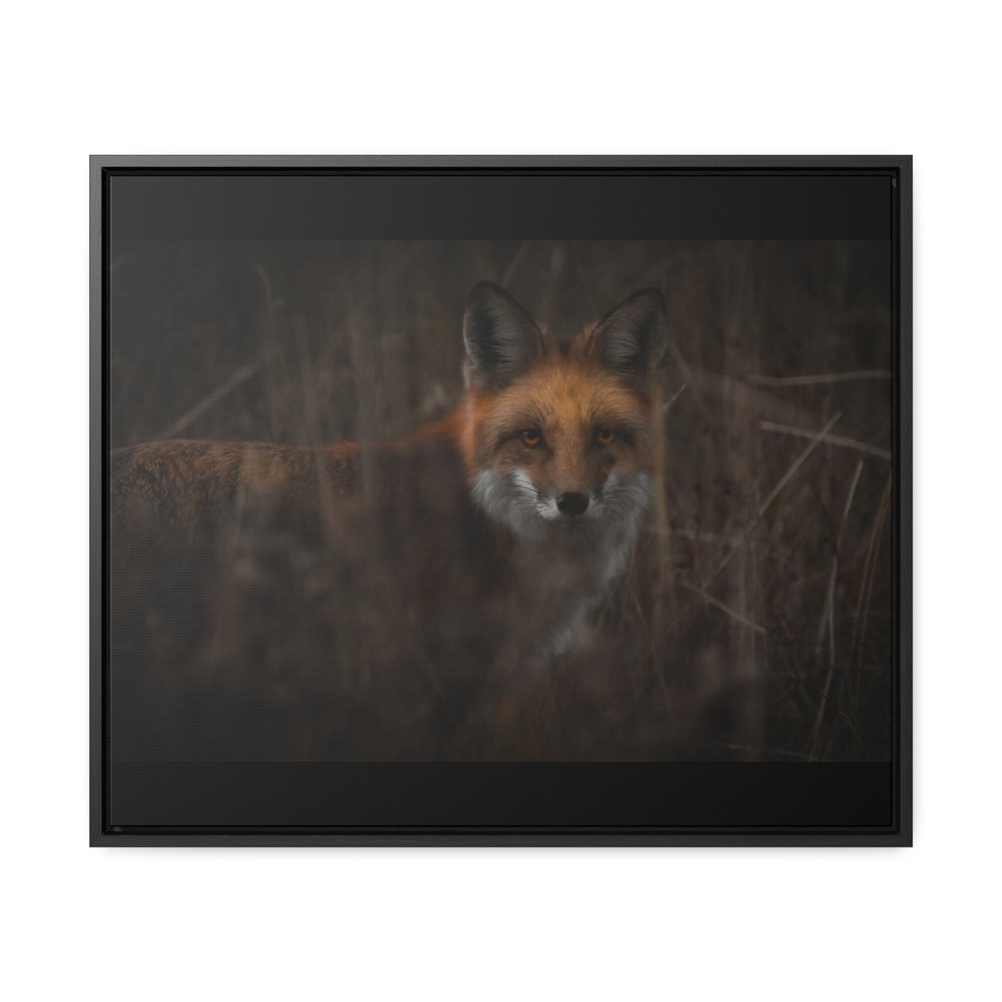 Fox Framed Gallery Canvas